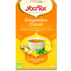 INFUSION GINGEMBRE CITRON 17INF
